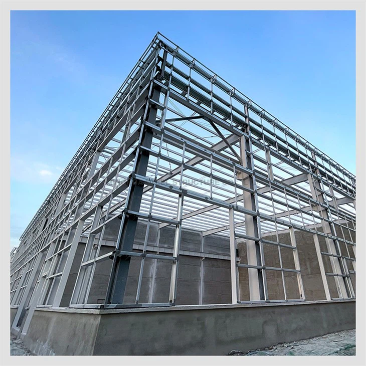 Indian Steel Structure Garment Workshop