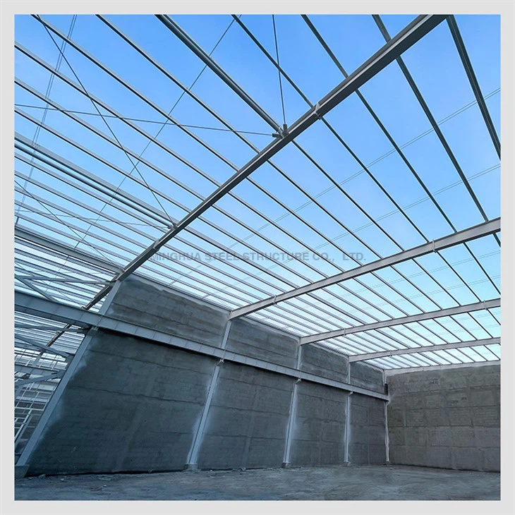 Indian Steel Structure Garment Workshop