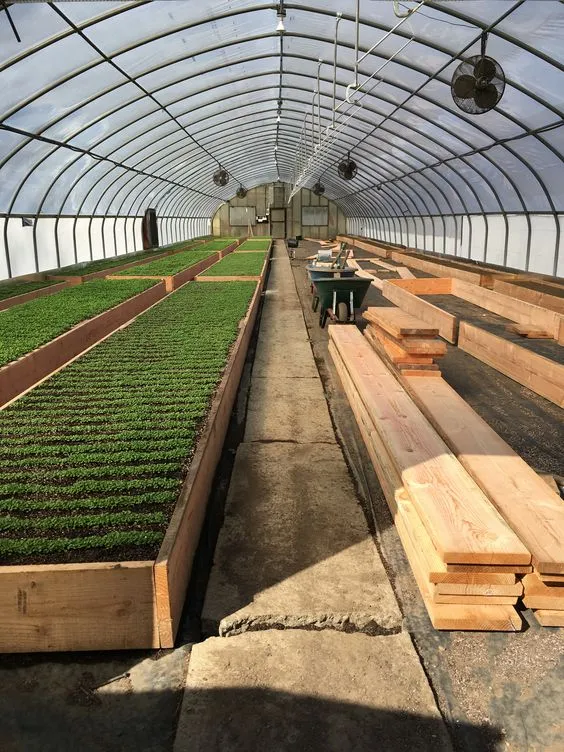 Steel Frame Greenhouse